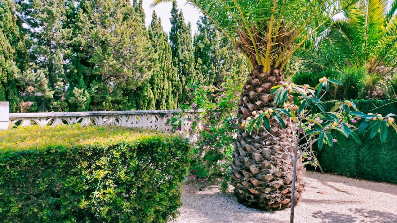 Villa El Palmar Denia Ngoại thất bức ảnh